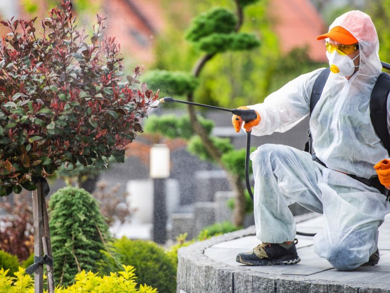 Pazaryolu Haşere İlaçlama