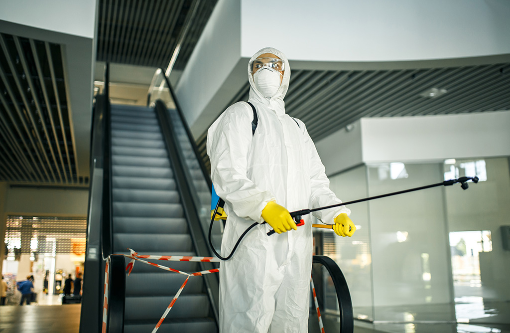 Pazaryolu Haşere İlaçlama